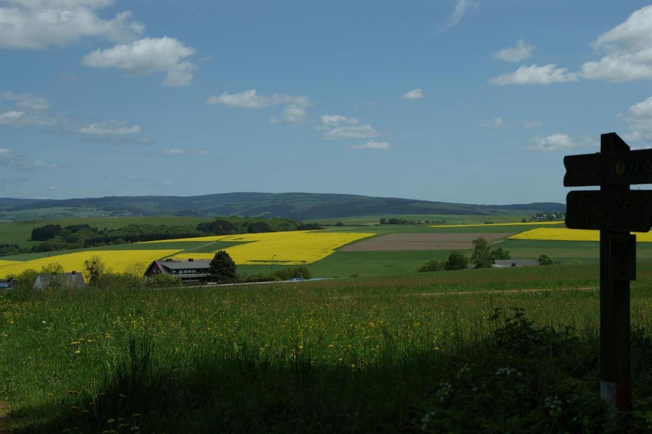Klein'S Hochwaldscheune Pellingen Zewnętrze zdjęcie